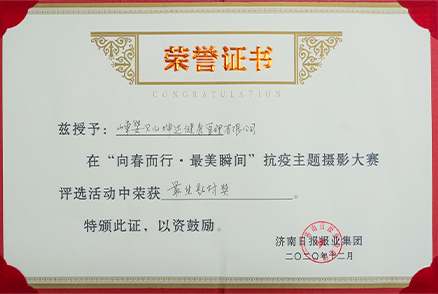 公司荣誉